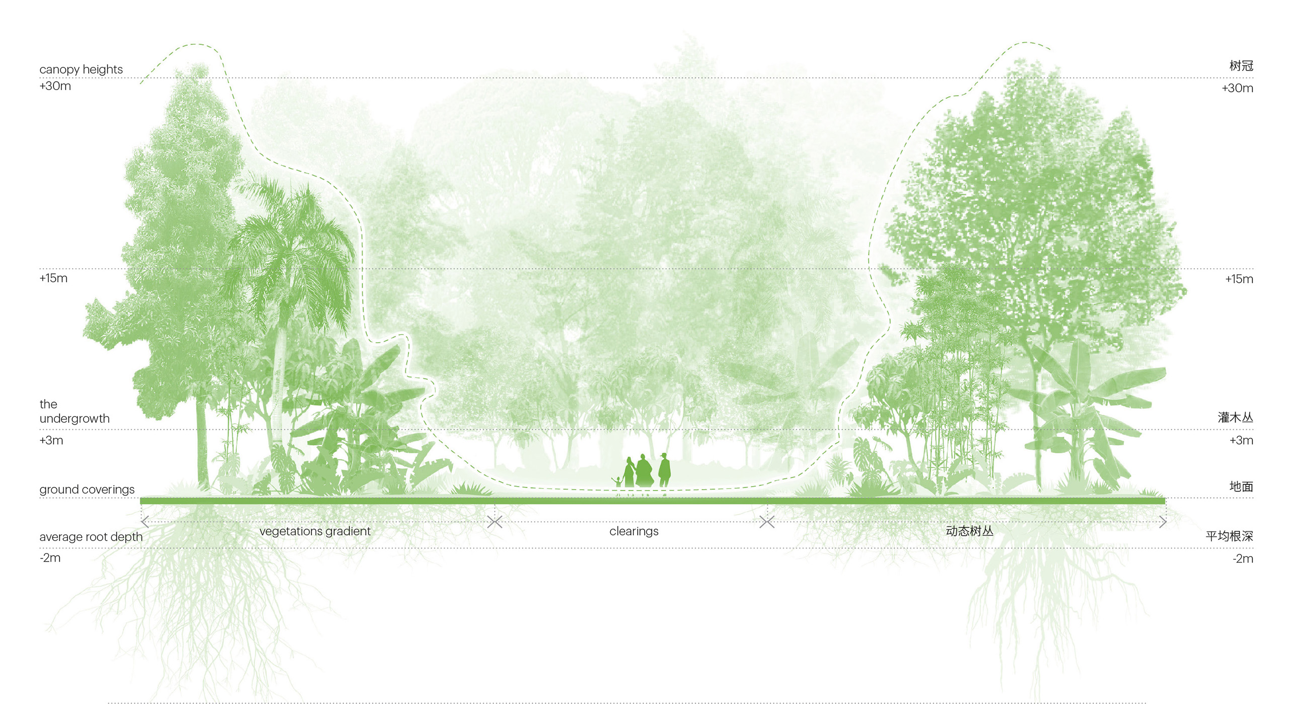 Landscape Architect Design Section Plan Stock Image  Image of sketching  hand 45230031